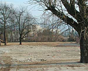 Peterhof-Kino, 2005